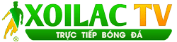 cách búi tóc